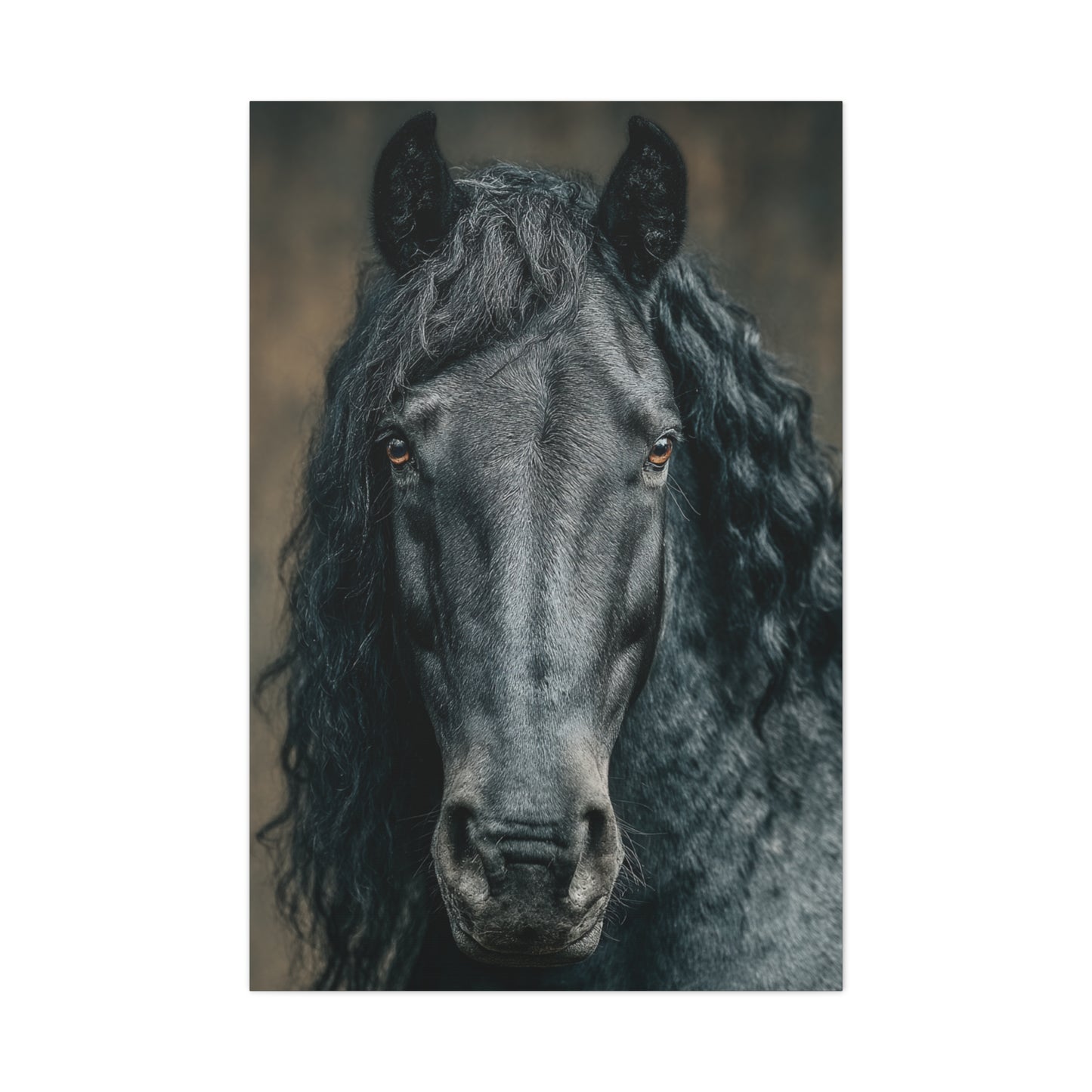 Black Horse Frontal Portrait Wall Art & Canvas Print