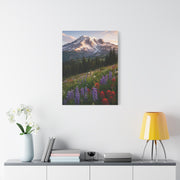 Mount Rainier Wildflower Meadow Wall Art & Canvas Print