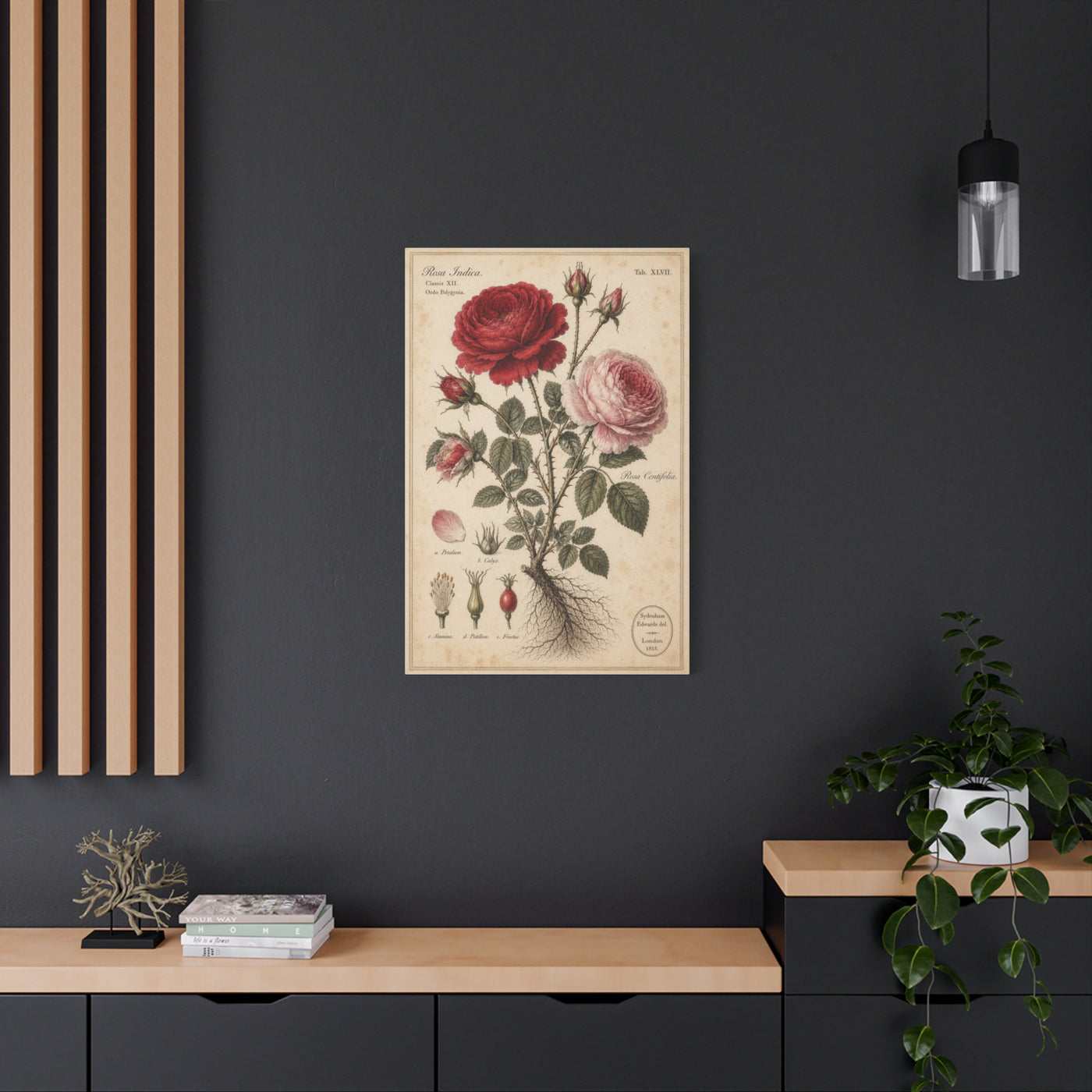 Victorian Rose Botanical Study Wall Art & Canvas Print