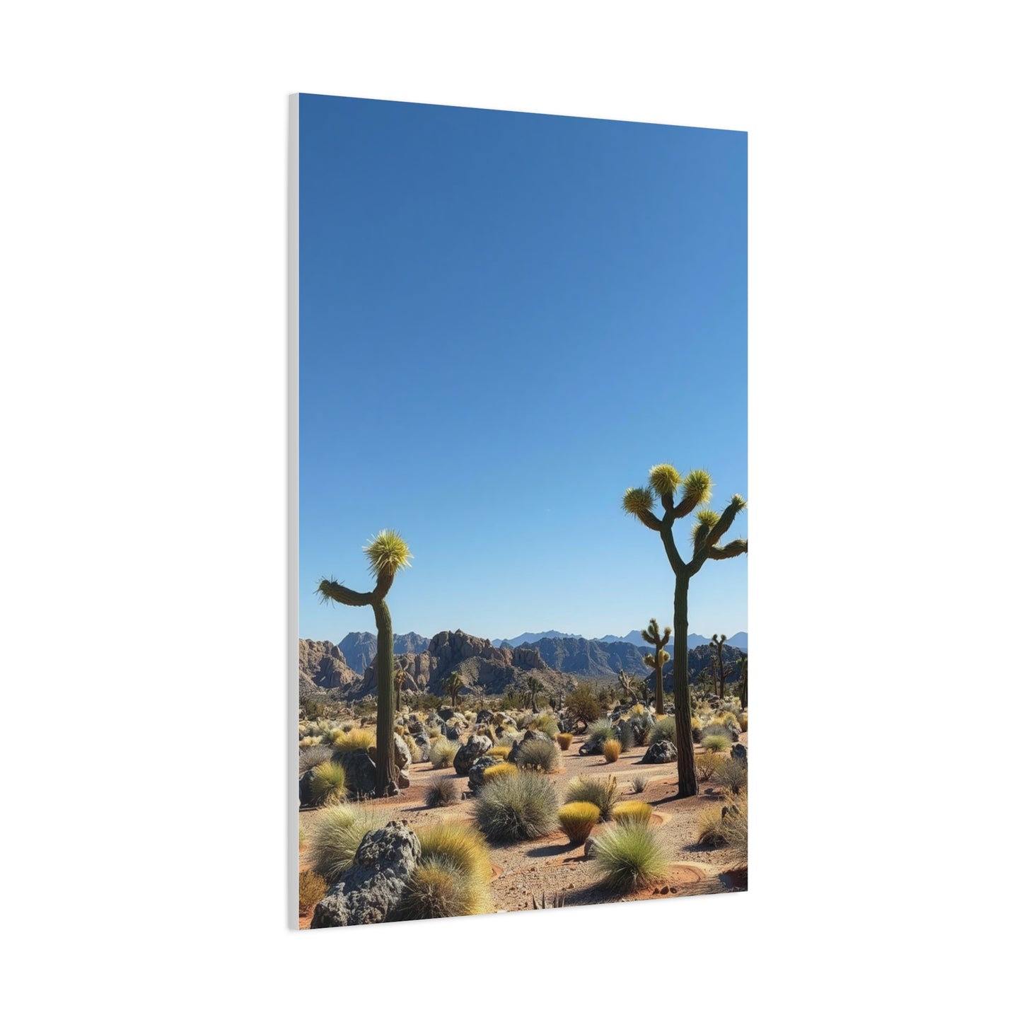 Vision Joshua Tree National Park Art Art Wall Art & Canvas Print