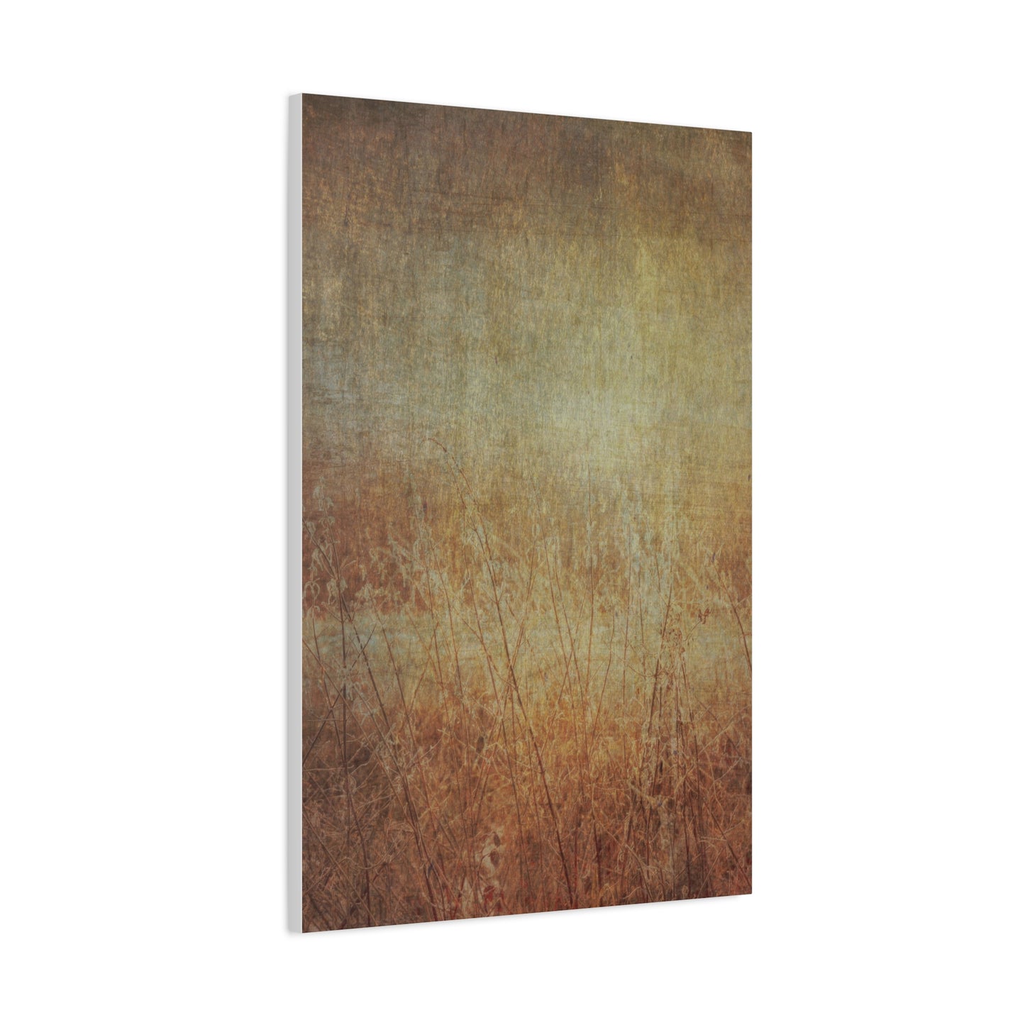 Golden Fields Wall Art & Canvas Prints