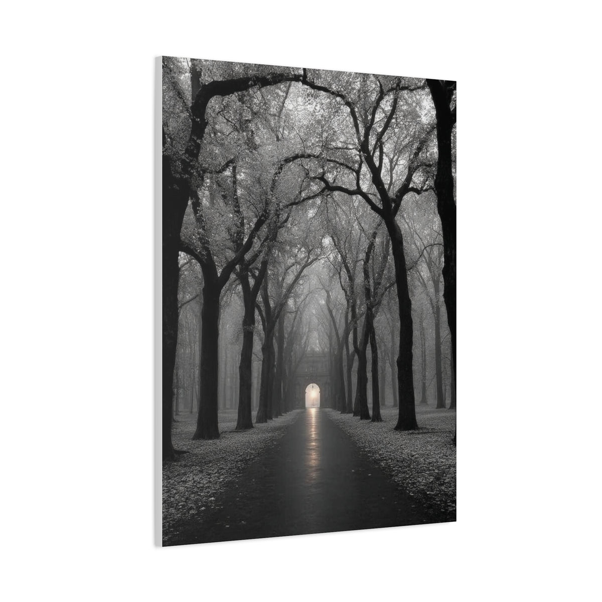 Misty Tree Avenue Monochrome Wall Art & Canvas Print