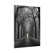 Misty Tree Avenue Monochrome Wall Art & Canvas Print