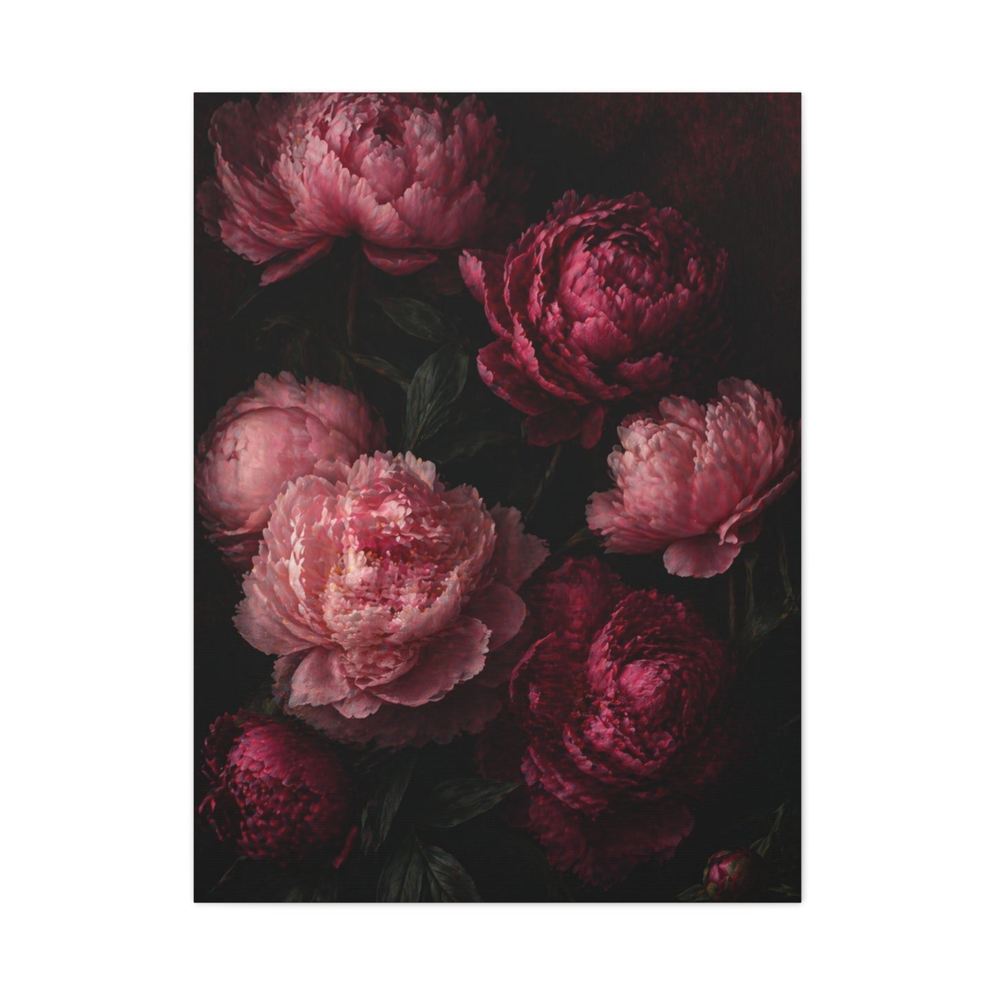 Dark Peony Floral Pink Wall Art & Canvas Print