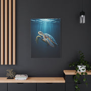 Sea Turtle Beneath Ocean Light Wall Art & Canvas Prints
