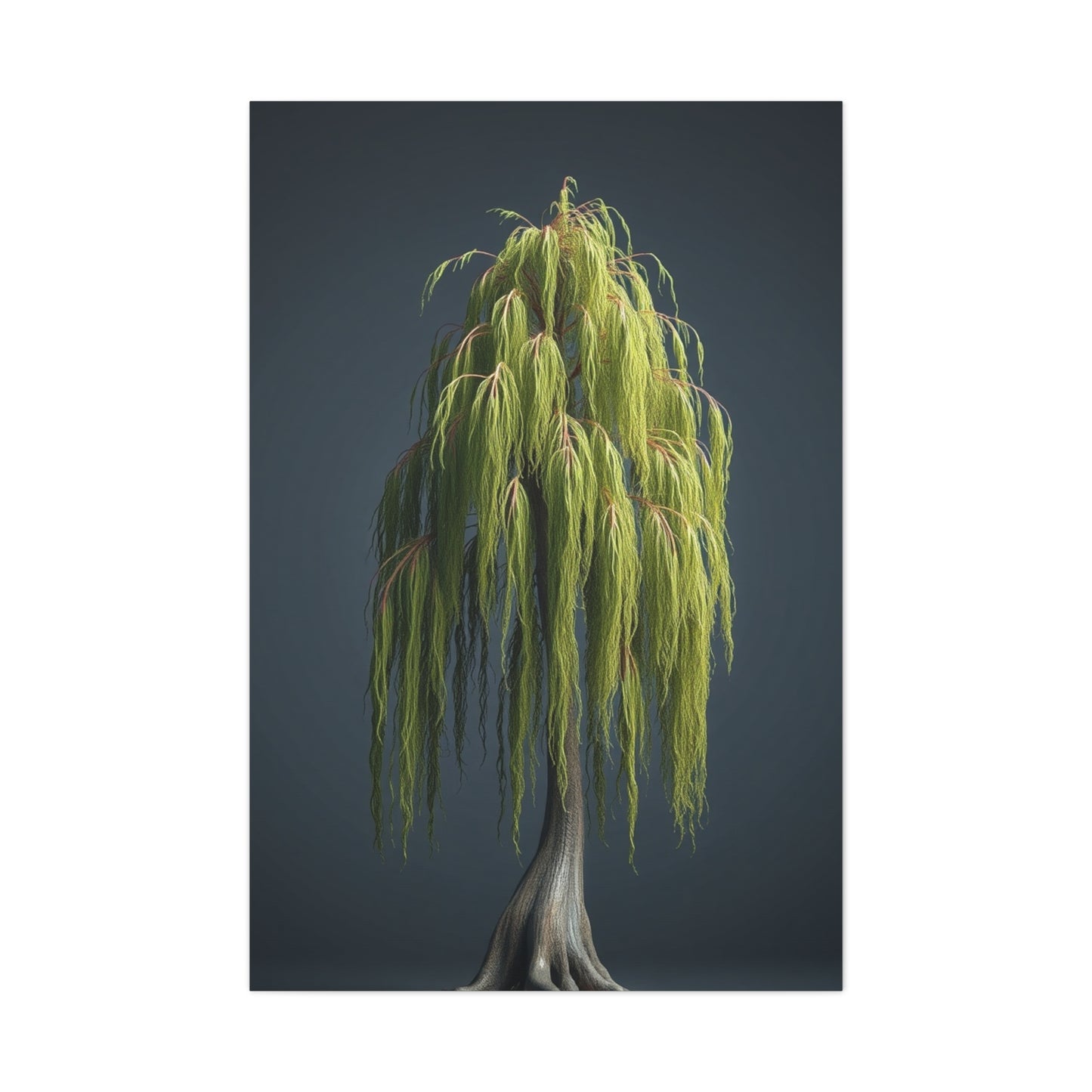 Supreme Willow Tree Art Beautiful Collection Wall Art & Canvas Print