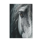 Horse Eye Intimate Monochrome Wall Art & Canvas Print