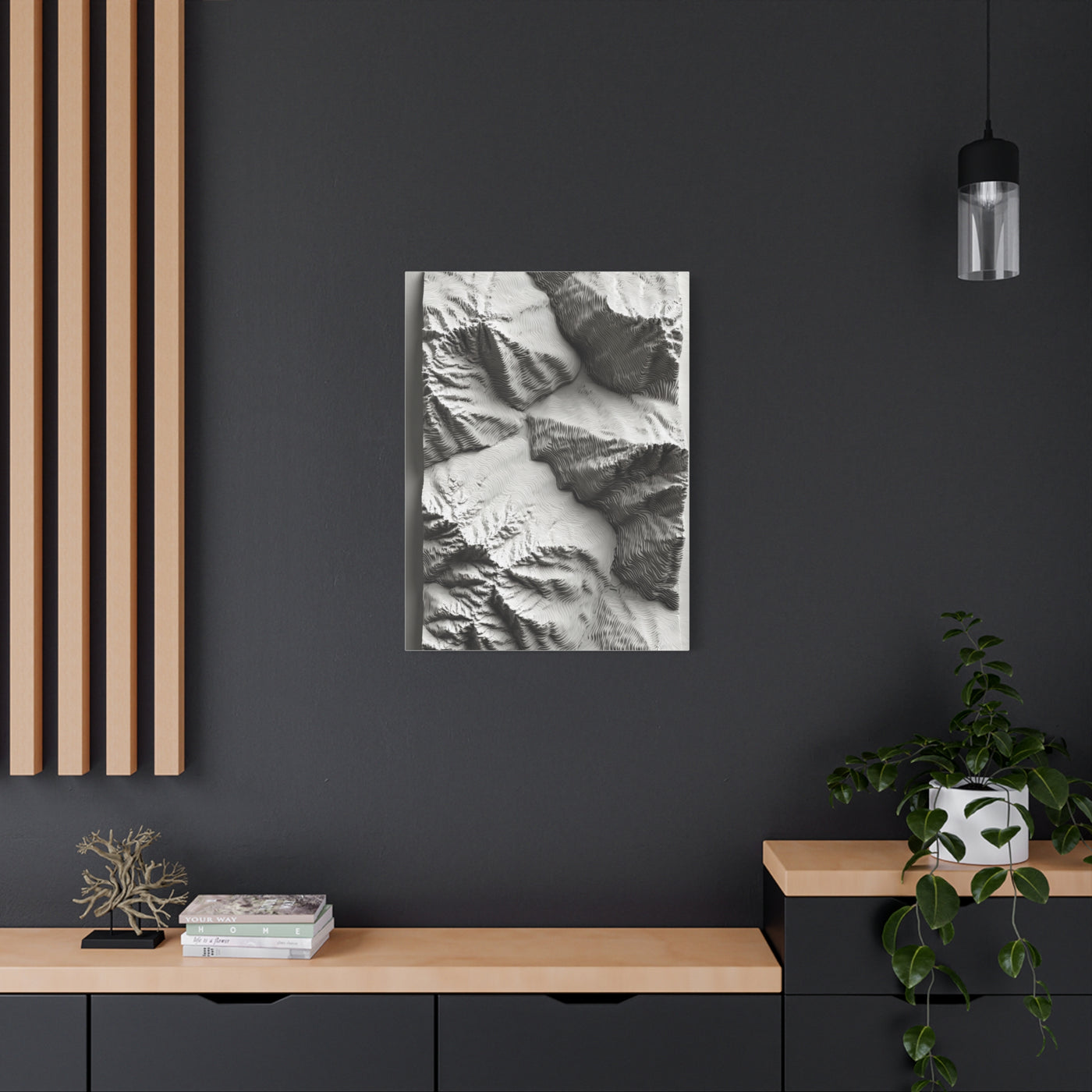 Sculpted Topographic Relief Wall Art & Canvas Print