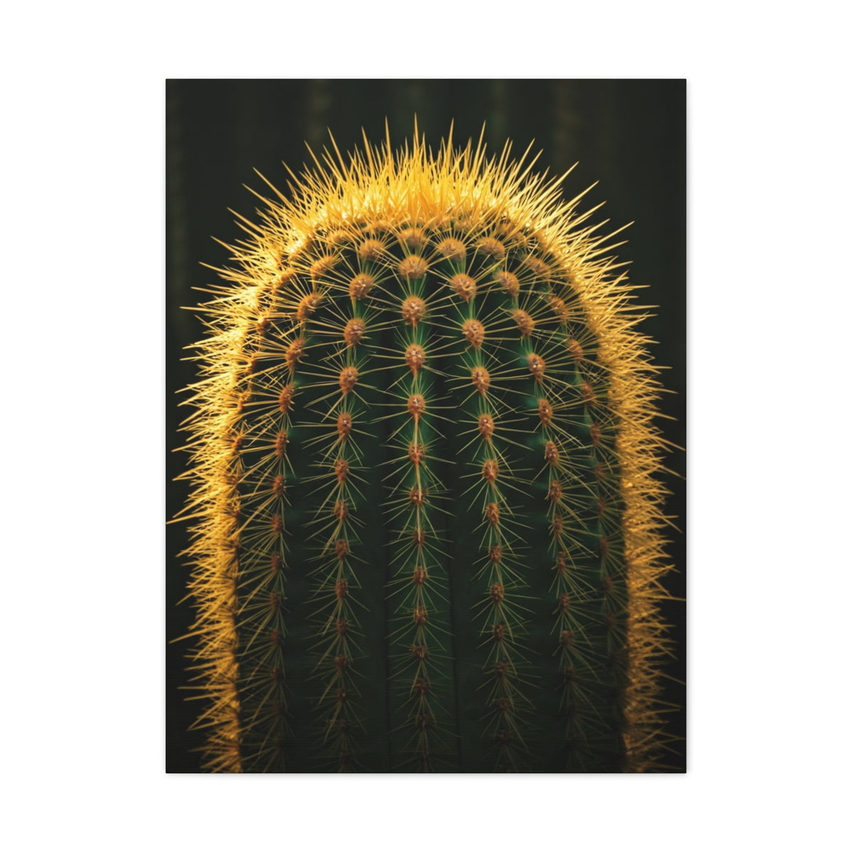 Radiant Barrel Cactus Glow Wall Art & Canvas Prints