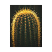 Radiant Barrel Cactus Glow Wall Art & Canvas Prints
