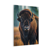 American Bison in Autumn Prairie Light Wall Art & Canvas Print