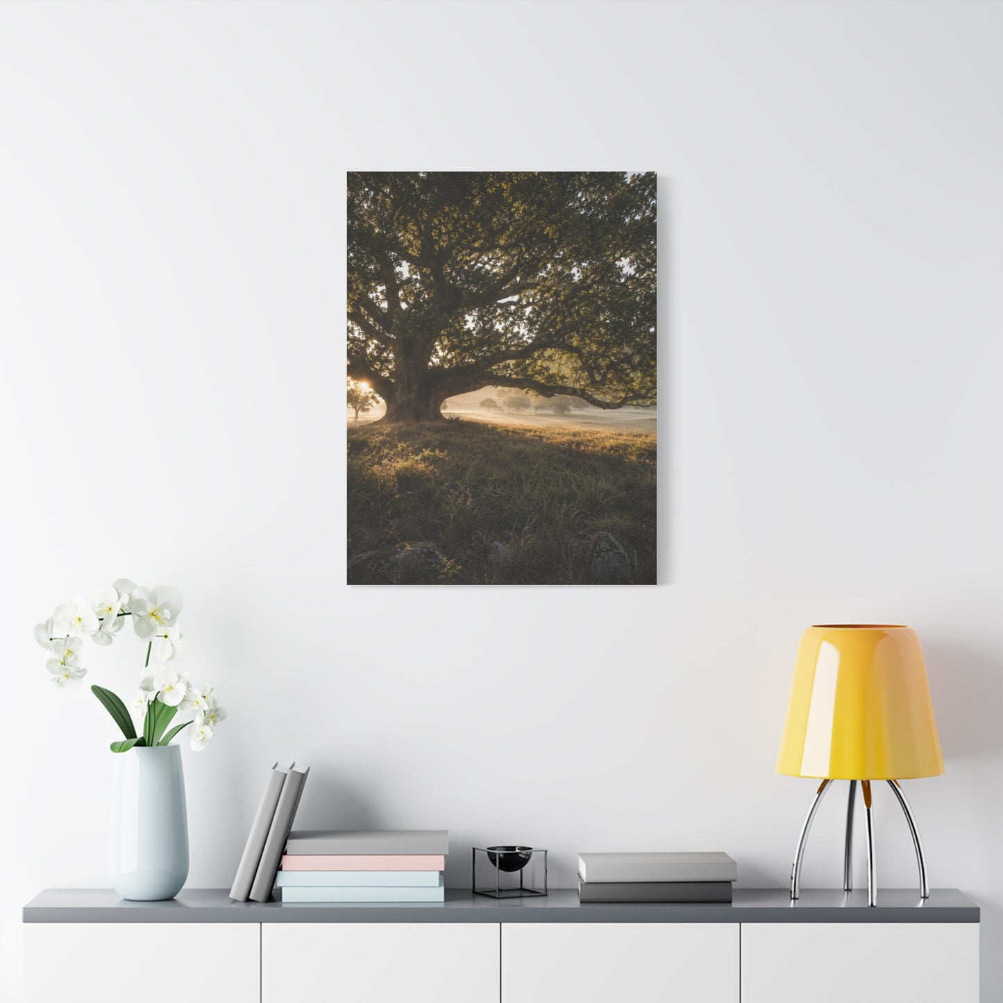 Ancient Oak Golden Dawn Landscape Trees Wall Art & Canvas Print