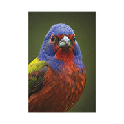 Vibrant Colorburst Sparrow Portrait Wall Art & Canvas Prints