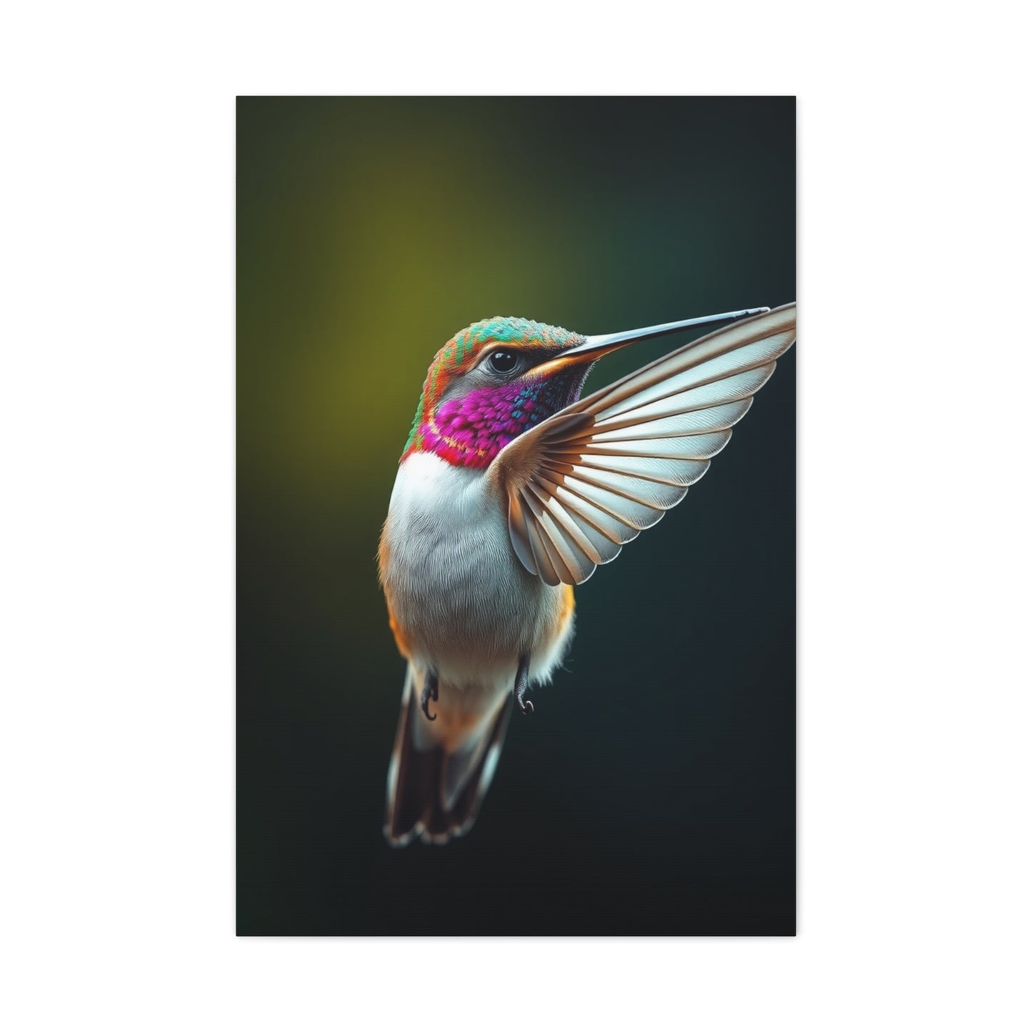 Humming Bird Art Supreme Canvas Wall Art & Canvas Print