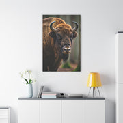 Wood Bison Close-Up with Soft Forest Backdrop Wall Art & Canvas Print