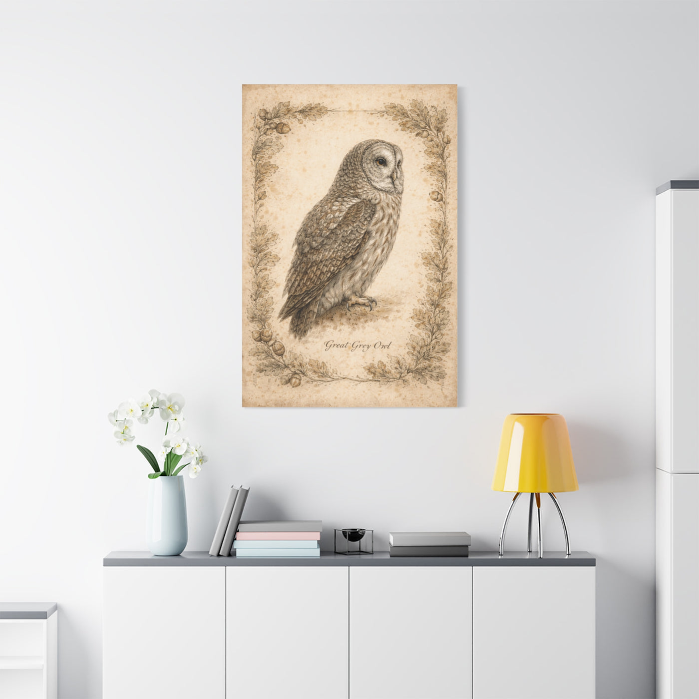 Antique Natural History Owl Study Wall Art & Canvas Print