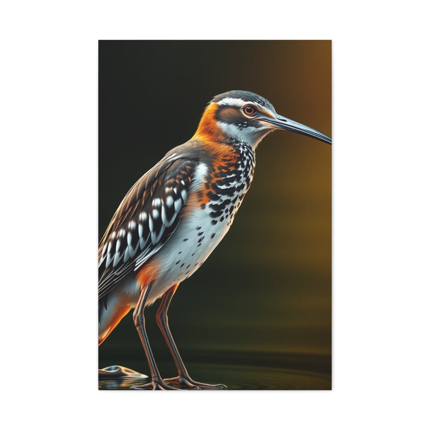 Supreme Sandpiper Art Beautiful Collection Wall Art & Canvas Print
