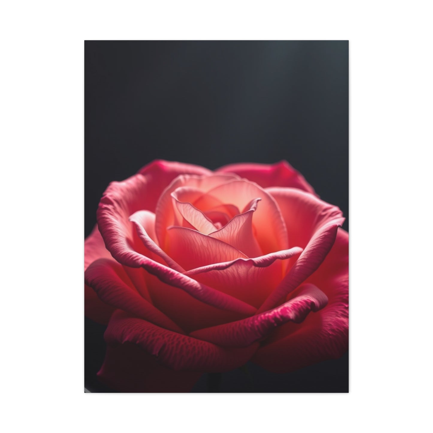 Rose Flower Art Supreme Canvas Wall Art & Canvas Print