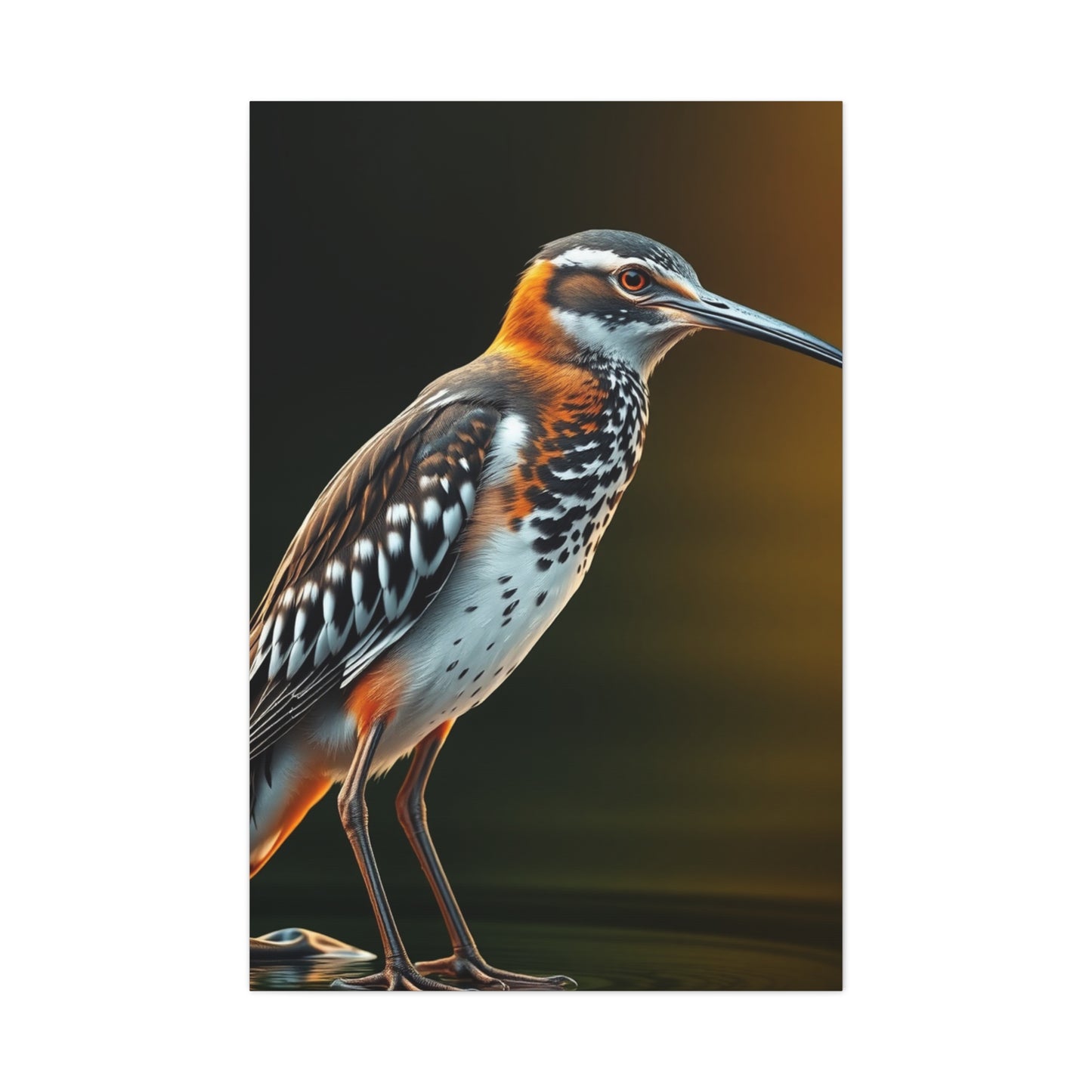 Supreme Sandpiper Art Beautiful Collection Wall Art & Canvas Print