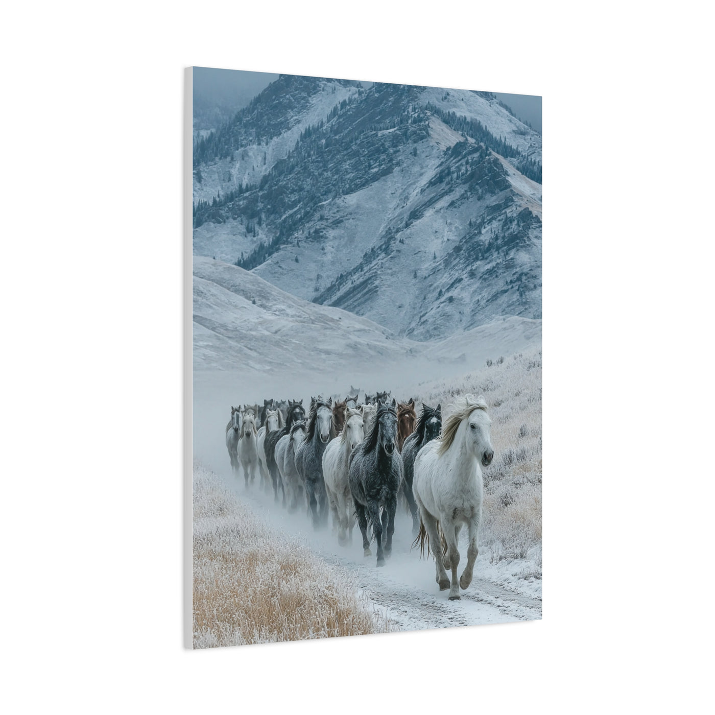 Wild Horse Herd Mountain Run Wall Art & Canvas Print