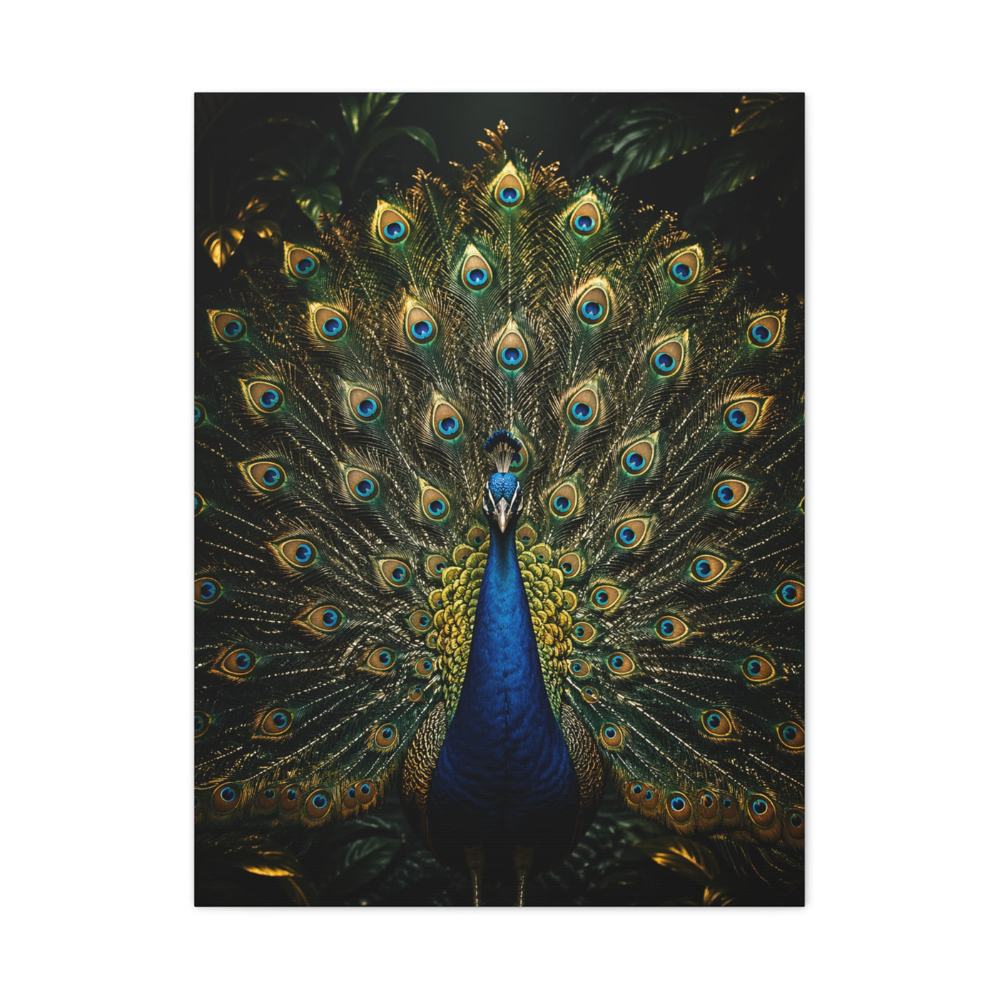 Opulent Jungle Peacock Display Wall Art & Canvas Print