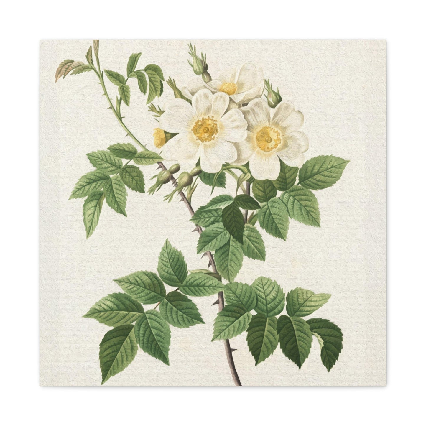 White Flower Wall Art & Canvas Prints