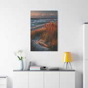 Golden Dune Driftwood Coastal Scene Wall Art & Canvas Print