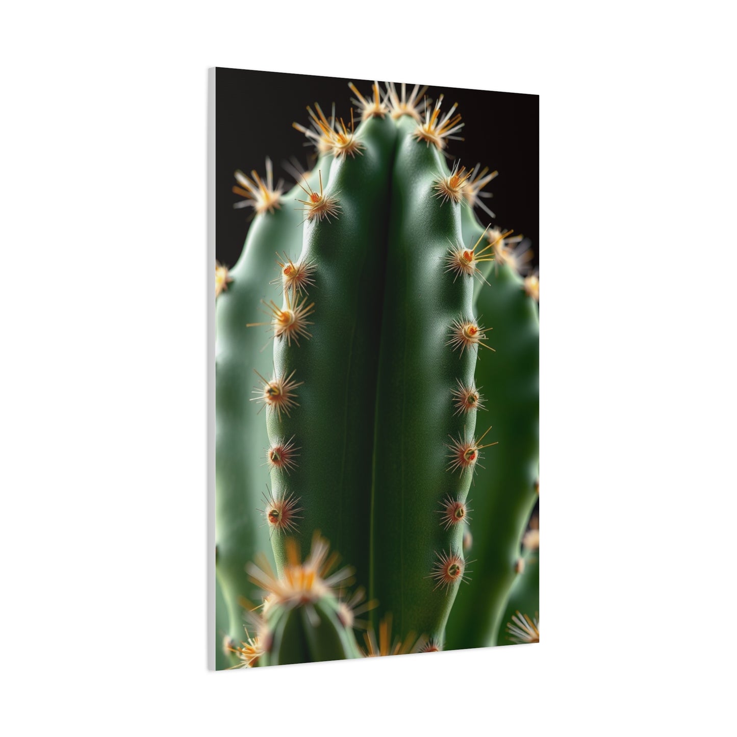 Arid Majesty Canvas Wall Art & Canvas Print