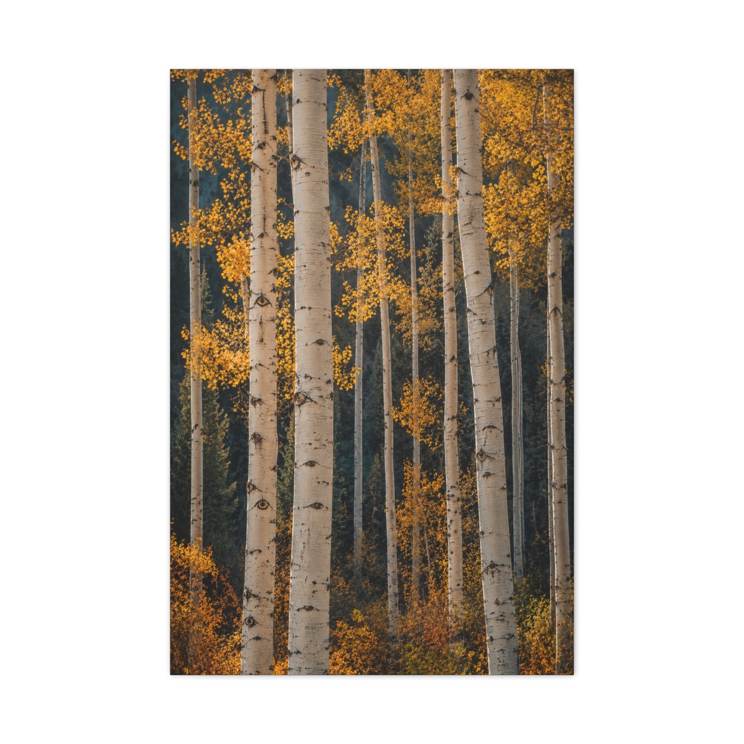 Golden Aspen Forest Autumn Vertical Trees Wall Art & Canvas Print