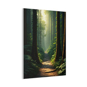 Misty Woodland Path Serenity Wall Art & Canvas Prints