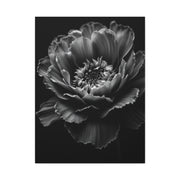 Layered Peony in Soft Shadow Wall Art & Canvas Prints