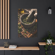 Rustic Herb Mortar and Pestle Wall Art & Canvas Print