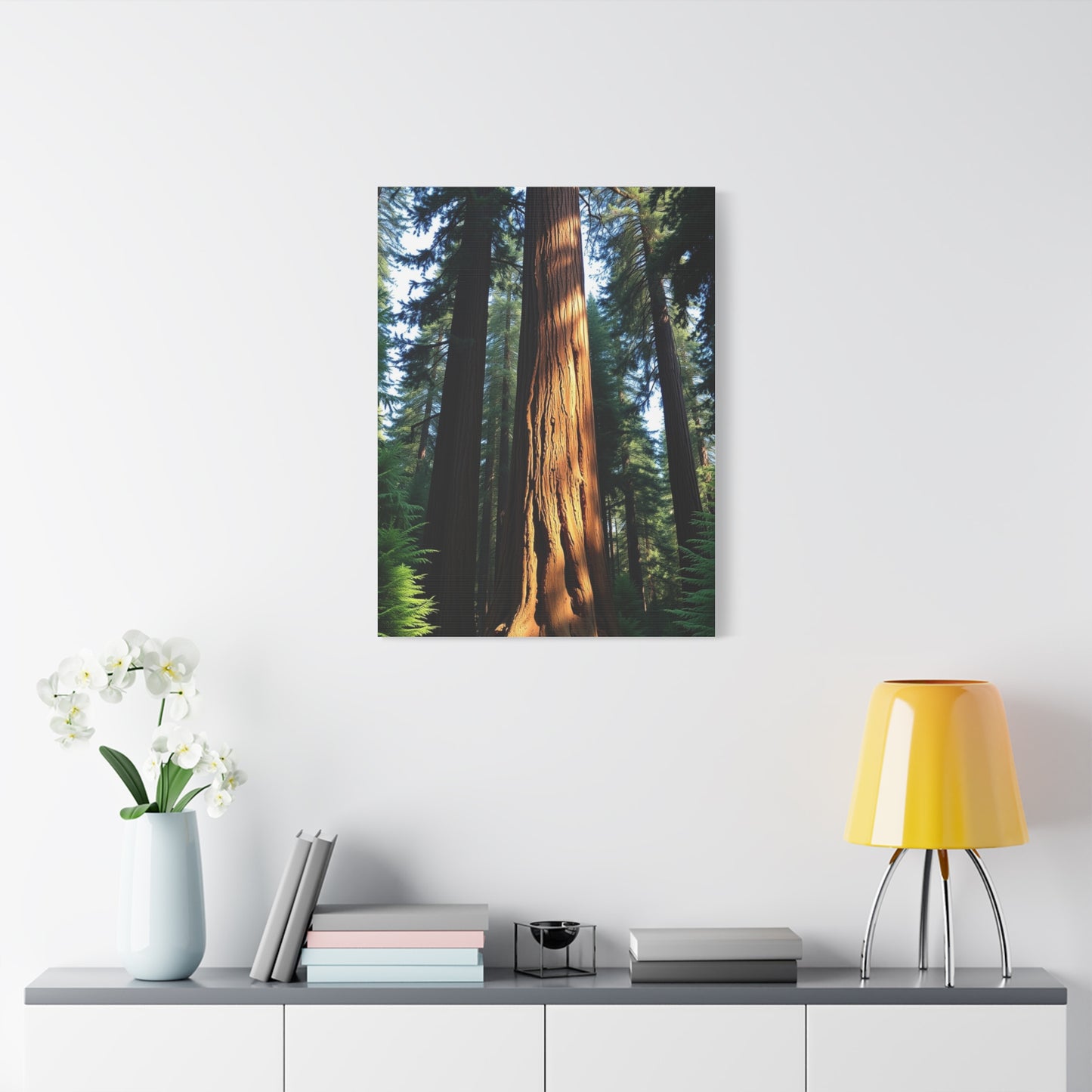 Supreme Redwood Tree Art Beautiful Collection Wall Art & Canvas Print