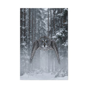 Great Grey Owl Winter Flight Wall Art & Canvas Print