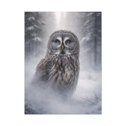 Great Grey Owl Winter Mist Portrait Wall Art & Canvas Print