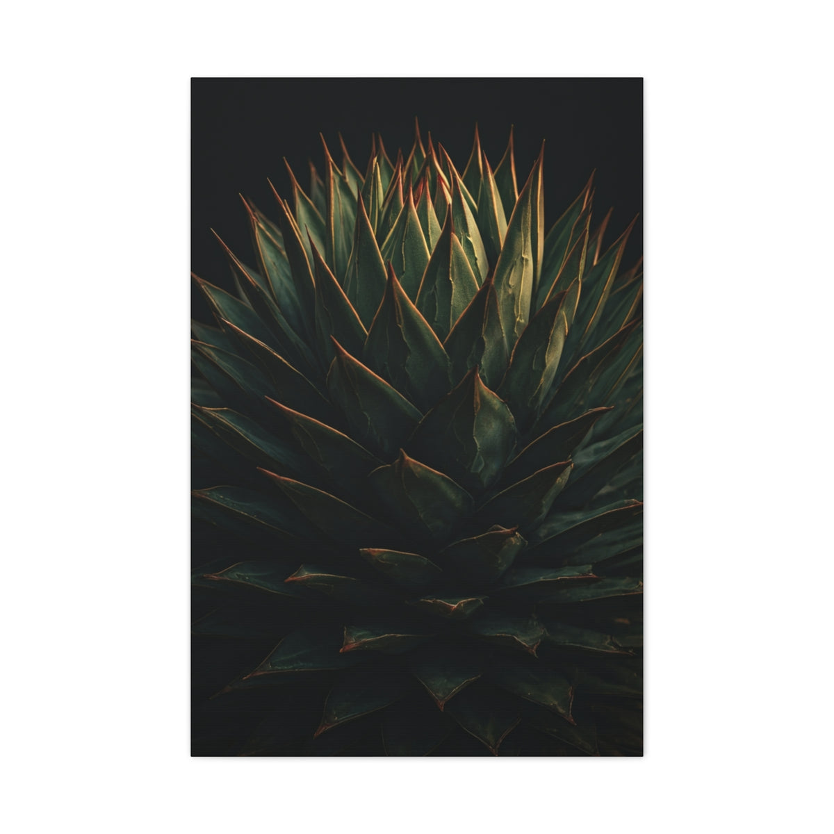Emerald Agave Close-Up Wall Art & Canvas Prints