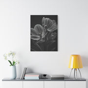 Dual Magnolia Elegance Wall Art & Canvas Prints