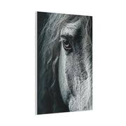 Horse Eye Intimate Monochrome Wall Art & Canvas Print