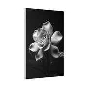Romantic Garden Rose Monochrome Wall Art & Canvas Prints