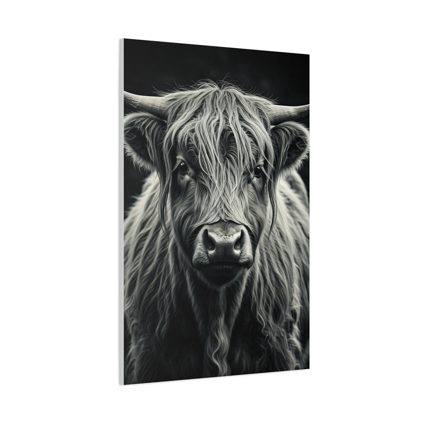 Highland Longhorn Portrait Wall Art & Canvas Prints