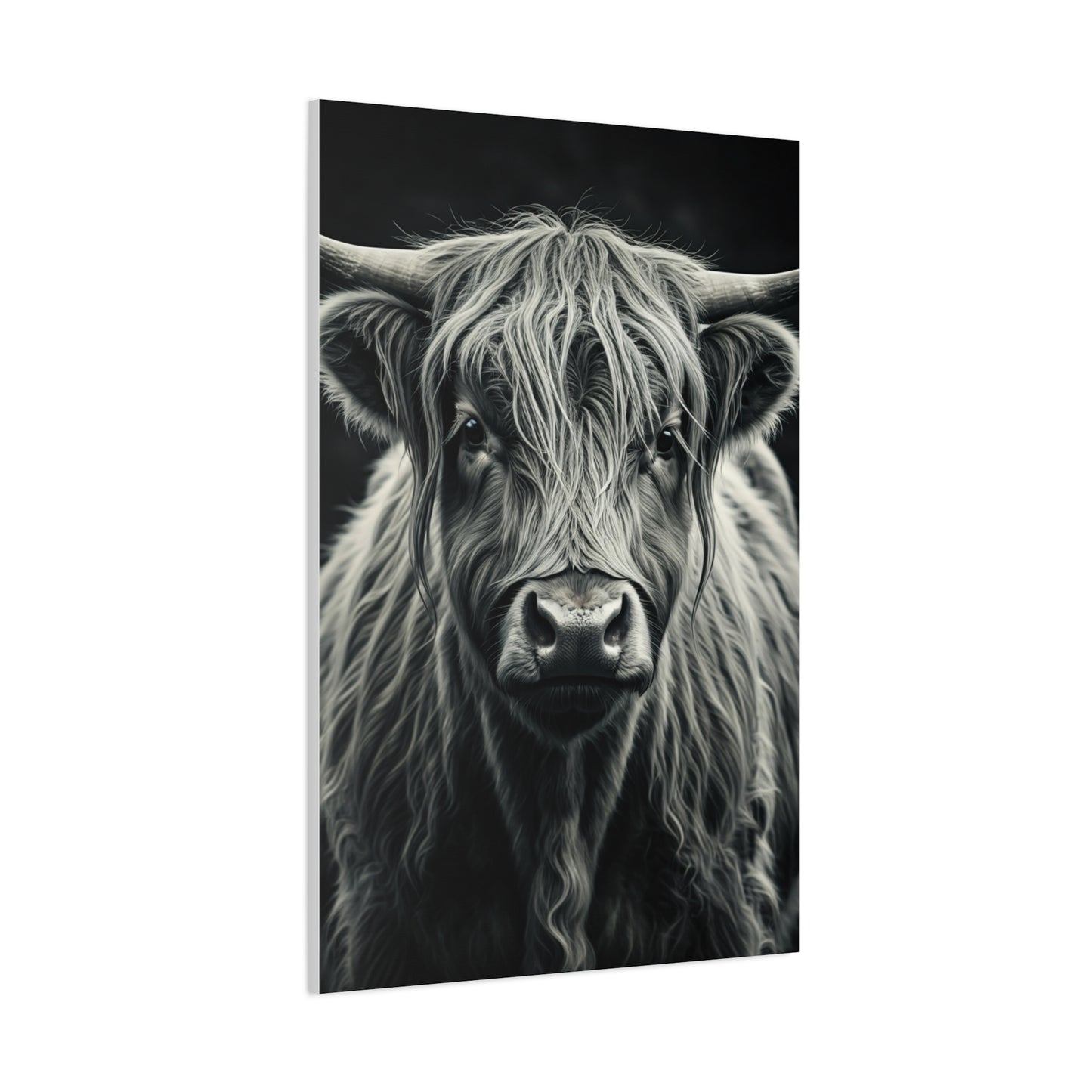 Highland Longhorn Portrait Wall Art & Canvas Prints