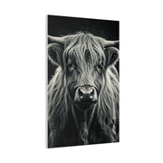 Highland Longhorn Portrait Wall Art & Canvas Prints