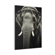 Regal Elephant Close-Up Wall Art & Canvas Prints