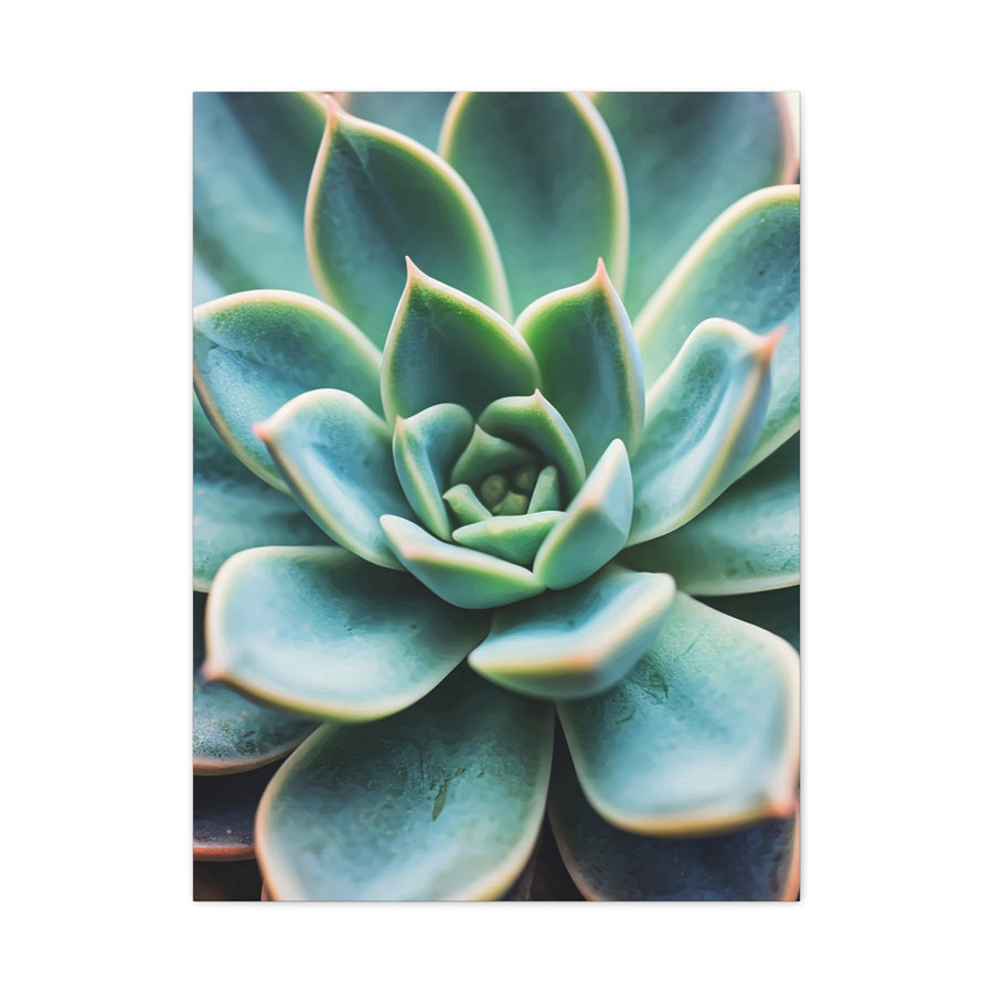 Succulent Wall Art