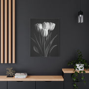 Graceful Tulip Trio Monochrome Wall Art & Canvas Prints