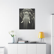Regal Elephant Close-Up Wall Art & Canvas Prints