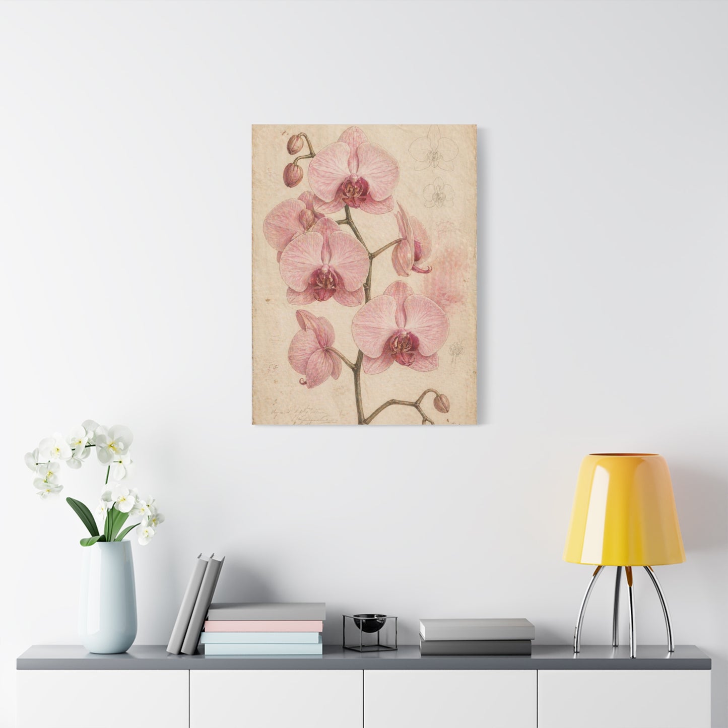 Vintage Orchid Botanical Study Wall Art & Canvas Print
