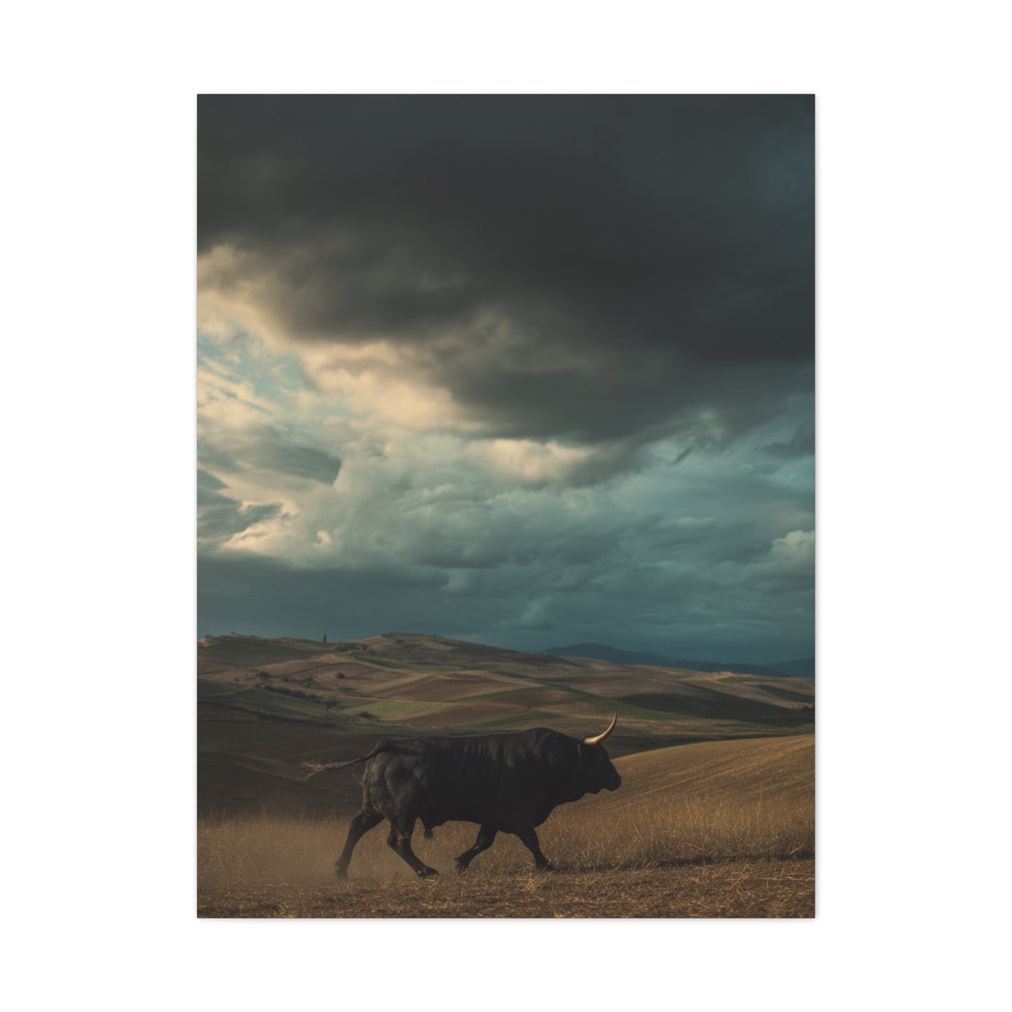 Storm Valley Black Bull Wall Art & Canvas Print