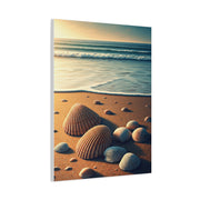 Seashell Collection on Warm Coastal Sand Wall Art & Canvas Prints