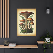 Mushroom Illustration Collection Wall Art & Canvas Prints